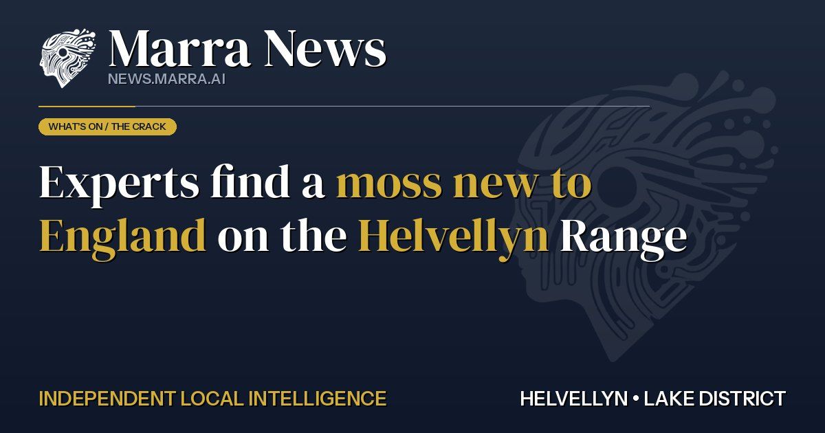 Experts Find a Moss New to England on the Helvellyn Range