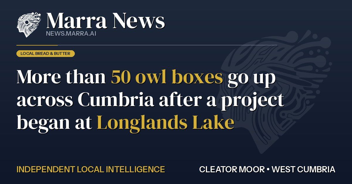 More than 50 owl boxes go up across Cumbria after a project began at Longlands Lake